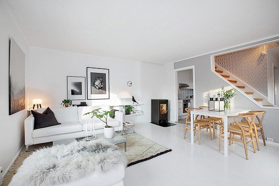 skandinavian style home 1
