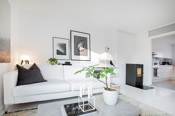 skandinavian style home 2