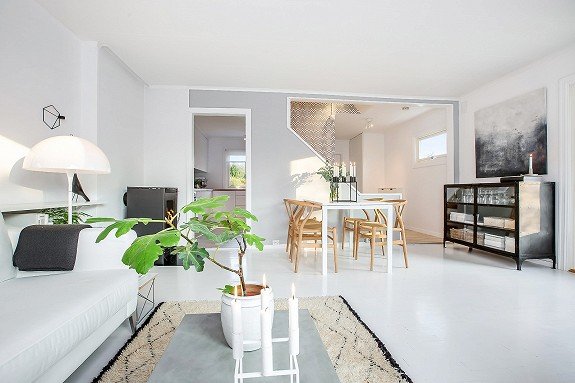 skandinavian style home 3